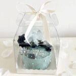 Boîte à Gâteau Transparente avec Poignée + Support - 19,5*19,5*15cm