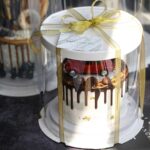 Lot de 10 Boîtes à Gâteau Cylindrique Transparente-26*26*24cm – Image 2