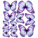 Cake Toppers - Lot de 10 Papillons 3D Décoratifs Violet #1
